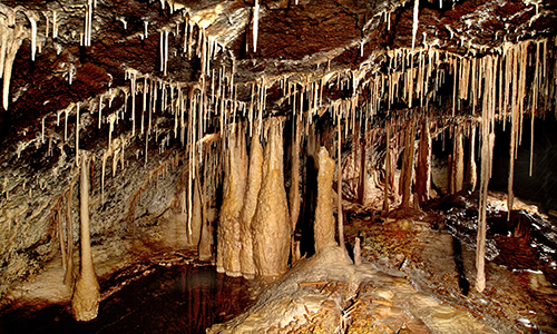 제주 화산섬과 용암 동굴 - 당처물동굴