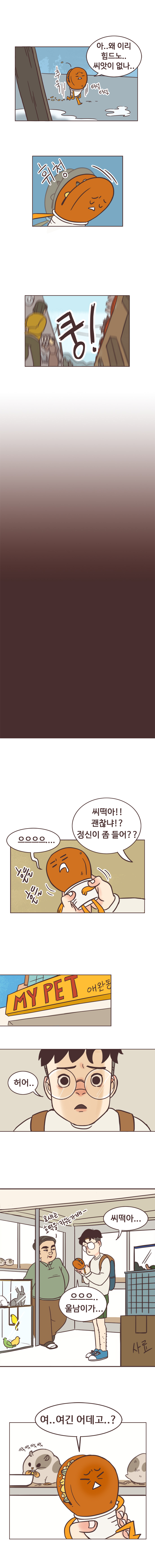 호떡 : 추욱 터덜터덜 아..왜 이리 힘드노.. 씨앗이 없나.. 휘청. 쿵!(쓰러진 호떡)
                서울남 : 씨떡아!! 괜찮냐!? 정신이 좀 들어?? 
                호떡 : 으으으으.... 흔들 흔들. 
                서울남 : 허어. 씨떡아... 
                동물가게주인 : 요새는 호떡을 키우는가배- 
                호떡 : 으으으..울남이가... 여..여긴 어데고..??
