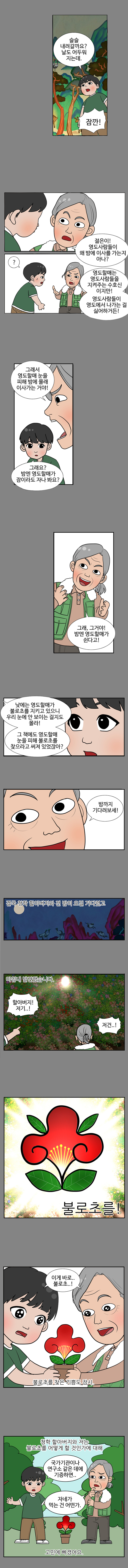 젊은이 : 슬슬 내려갈까요? 날도 어두워지는데.
                청학 : 잠깐! 젊은이! 영도사람들이 왜 밤에 이사를 가는지 아나?
                청학 : 영도할매는 영도사람들을 지켜주는 수호신이지만! 영도사람들이 영도에서 나가는 걸 싫어하거든! 그래서 영도할매 눈을 피해 밤에 몰래 이사가는 거야!
                젊은이 : 그래요? 밤엔 영도할매가 잠이라도 자나봐요?
                청학 : 그래, 그거야! 밤엔 영도할매가 쉰다고! 낮에는 영도할매가 불로초를 지키고 있으니 우리 눈에 안 보이는 걸지도 몰라! 그 책에도 영도할매 눈을 피해 불로초를 찾으라고 써져 있었잖아? 밤까지 기다려보세!
                
                결국 청학 할아버지와 전 밤이 오길 기다렸고 마침내 발견했습니다. 
                
                젊은이 : 할아버지! 저기..! 
                청학 : 저건..! 불로초를! 
                젊은이, 청학 : 이게 바로 불로초..! 
                
                불로초를 찾은 기쁨도 잠시. 청학 할아버지와 저는 불로초를 어떻게 할 것인가에 대해 
                
                젊은이 : 국가기관이나 연구소 같은 데에 기증하면.. 
                청학 : 자네가 먹는 건 어떤가. 
                
                고민에 빠졌어요.