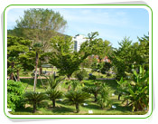 열대식물원