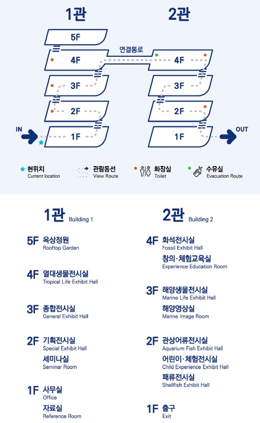 관람동선(View Route) 설명
현위치(Current Location) : 1관 1층 입구(IN) → 2층 → 3층 → 4층 (4층에서 연결통로로 2관으로 넘어감) 2관 4층 → 3층 → 2층 → 1층 출구(OUT)
층별 관람 안내
1관 Building 1
1층 사무실(Office), 자료실(Reference Room)
2층 기획전시실(Special Exbibit Room), 세미나실(Seminar Room), 화장실(Toilet)
3층 종합전시실(General Exhibit Room), 화장실(Toilet)
4층 열대생물전시실(Tropical Life Exhibit Room), 화장실(Toilet)
5층 옥상정원(Rooftop Garden)
2관 Building 2
1층 출구(Exit)
2층 관상어류전시실(Aquarium Fish Exbibit Room), 어린이·체험전시실(Child Experience Exbibit Room), 패류전시실(Shellfish Exbibit Room), 화장실(Toilet)
3층 해양생물전시실(Marine Life Exbibit Room), 해양영상실(Marine Image Room)
4층 화석전시실(Fossil Exbibit Room), 창의체험교육실(Experience Education Room), 화장실(Toilet), 수유실(Evacuation Route)