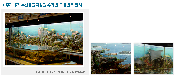 우리나라 수산생물자원을 수계별 특성별로 전시 -한국수계자원관 사진