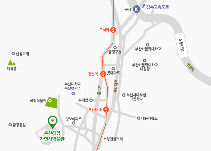 시외방면에서 오실 경우 경부고속도로에서 구서IC, 동래방면, 소정천삼거리, 금강식물원쪽으로 오시면 부산해양자연사박물관입니다.