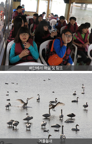 을숙도철새공원 배안에서 해설 및 탐조와 겨울철새 이미지