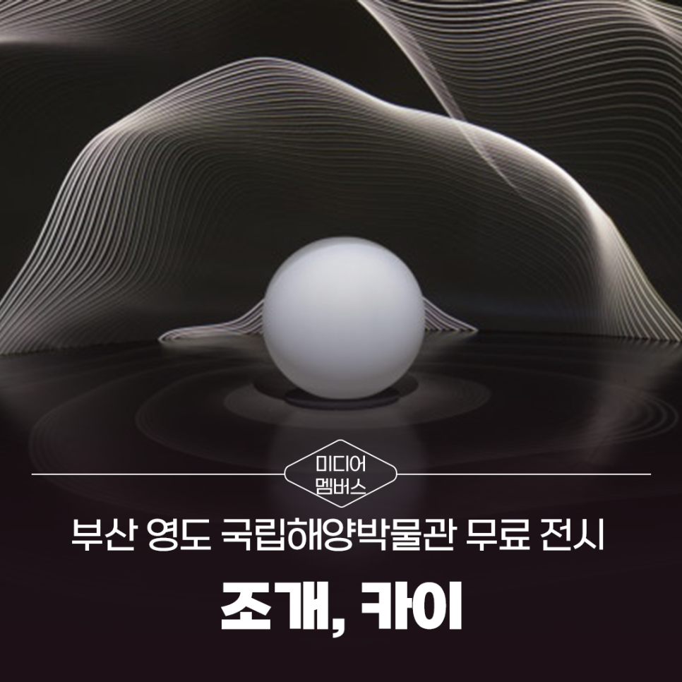 [미디어멤버스]부산 영도 국립<b>해양박물관</b> 무료 전시 <조개, 카이> 관람 꿀팁(인형극·해설 예약 포함)