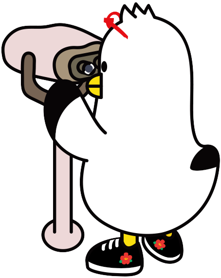 ovserv_boogi