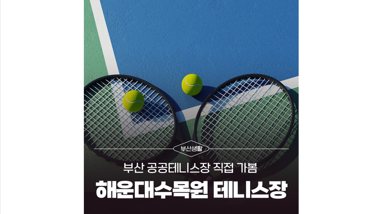 갤러리 이미지