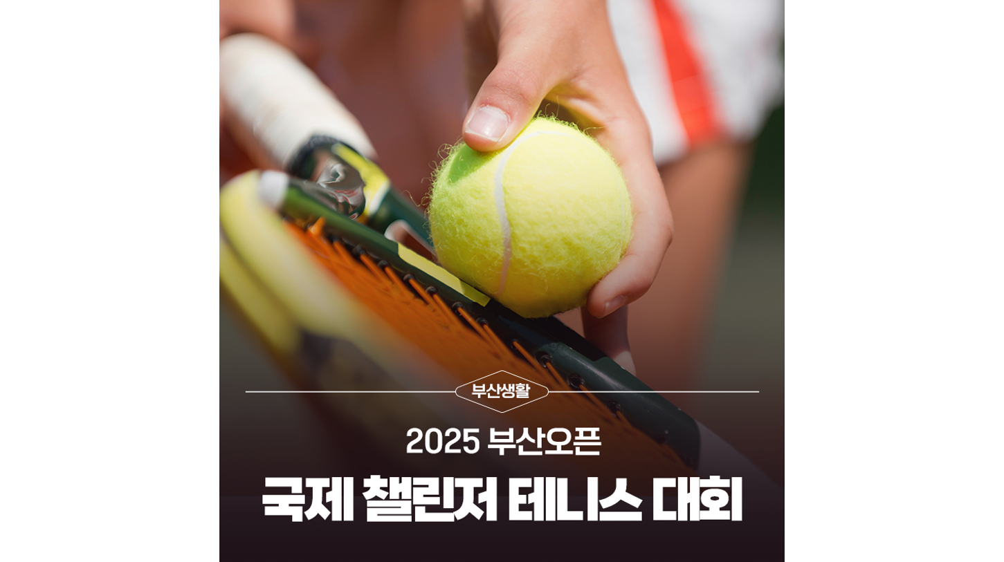 갤러리 이미지