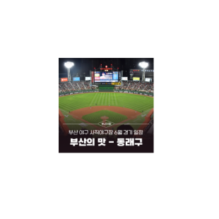 갤러리 이미지